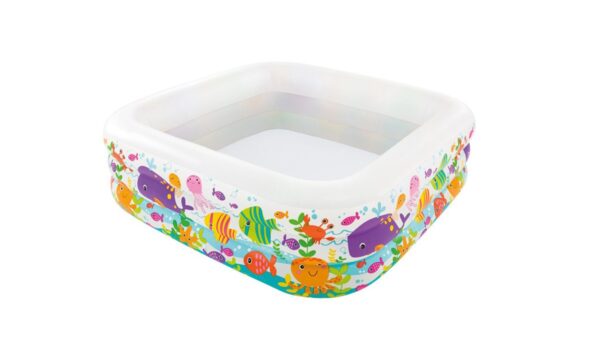 Intex Clearview Pool - Image 6