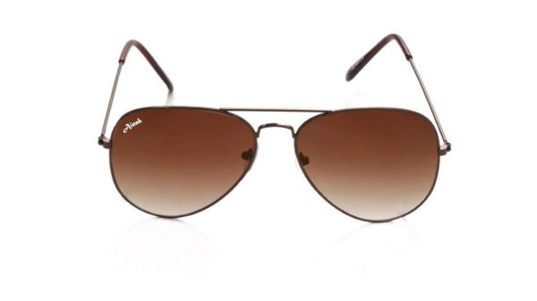 Ainak Polarized Aviator Sunglasses for Men and Women stylish Branded - Image 7