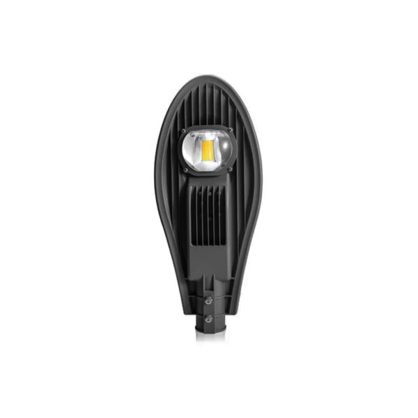 Dolphin Street Light 30W