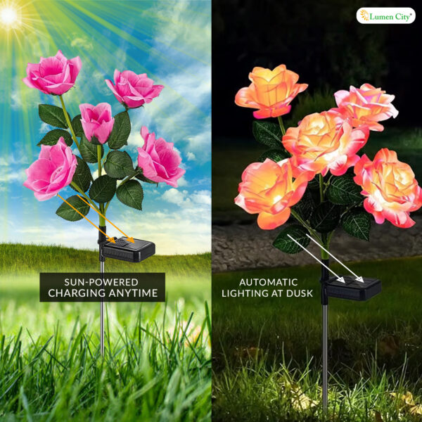 Solar Rose Garden Light Light (Pack of 2) - Image 5